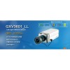 GXV3601_LL網(wǎng)絡(luò)攝像機(jī)